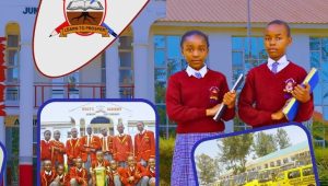 Roots Academy admission
